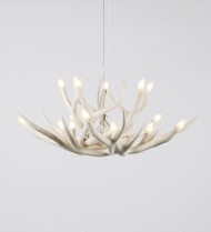 Chandelier - 10 Antlers - White